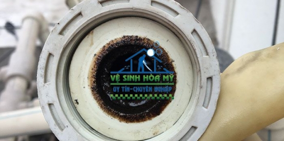 Dịch vụ vệ sinh làm sạch cáu cặn rong rêu trong đường ống nước sinh hoạt tại Quang Trung